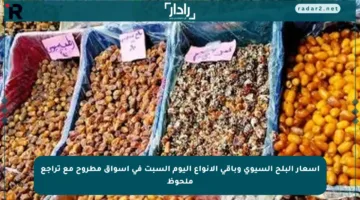 أسعار البلح السيوي وباقي الأنواع اليوم السبت في أسواق مطروح مع تراجع ملحوظ